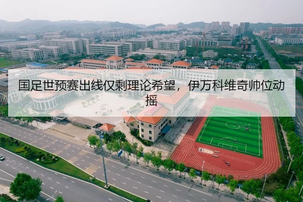 国足世预赛出线仅剩理论希望，伊万科维奇帅位动摇