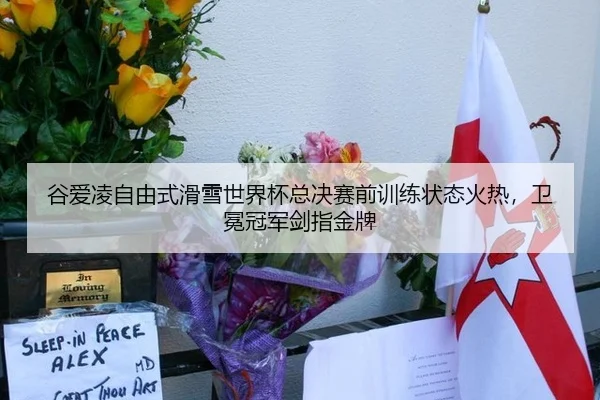 谷爱凌自由式滑雪世界杯总决赛前训练状态火热，卫冕冠军剑指金牌